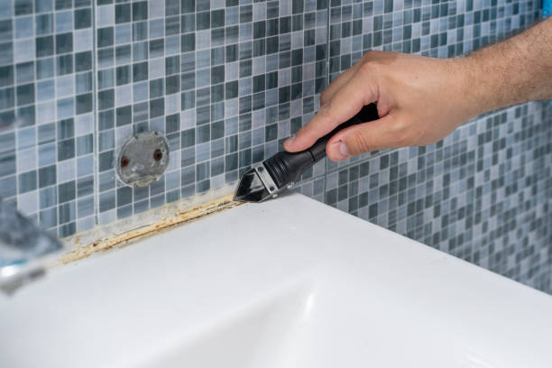 Best Attic Mold Removal  in Wellston, MO